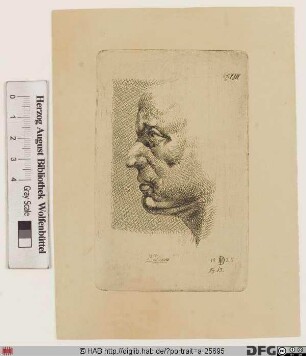 Bildnis Marcus Tullius Cicero