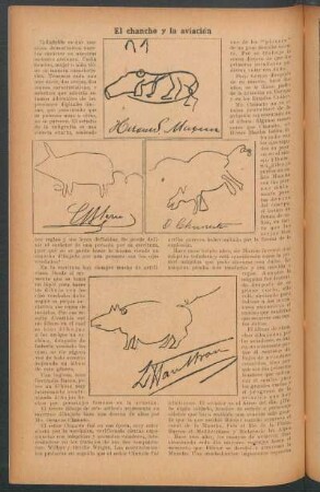 El chancho y la aviación