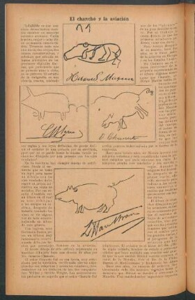 El chancho y la aviación
