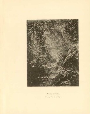 Paysage formosien