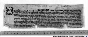 Forma confessionalis et absolutionis pro tuitione orthodoxae fidei contra Turcos. 1489