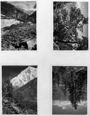 Anden : Vier Abbildungen mit Berglandschaften, Gletschern und Andenvegetation