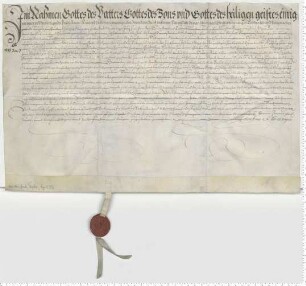 Philipp Sigismund, postulierter Bischof von Verden, transsumiert eine Präsentation der Bürgermeister und Ratsmannen und ernennt Dr. Henricus van Senden zum Propst von St. Johannis. Eigenhändige Unterschrift [lat].