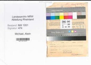 Entnazifizierung Alwin Michael , geb. 04.12.1894 (Geschaeftsfuehrer)