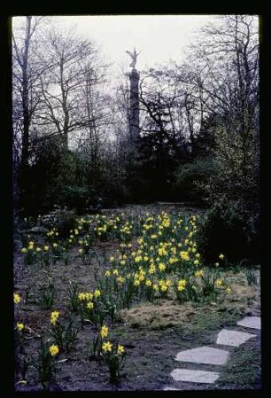 Bellevue-Park 26.4.69.