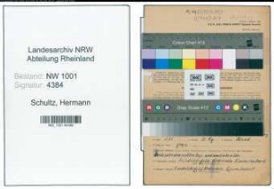 Entnazifizierung Hermann Schultz, geb. 01.03.1888 (Zimmermeister)