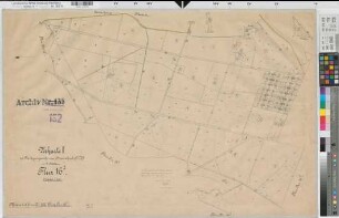 Rheine l.d.Ems (Rheine), Umlegung Hauenhorst, Urkarte I Flur 16,1