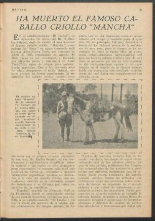 Ha muerto el famoso caballo criollo "Mancha"