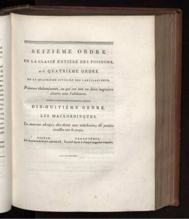 SEIZIÉME ORDRE