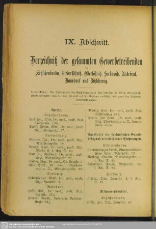 IX. Berufsklassen und Gewerbebetriebe : Verzeichnis der gesammten Gewerbetreibenden in Kötzschenbroda, Niederlößnitz, Oberlößnitz, Serkowitz, Radebeul, Naundorf und Zitzschewig, Ort: Kötzschenbroda; Niederlößnitz, Oberlößnitz; Serkowitz; Radebeul; Naundorf; Zitzschewig