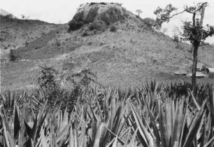 Umgebung eines Dorfes : Blick auf die Umgebung des Dorfes Korogwe.
