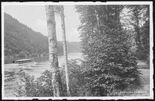 Kriebstein. Talsperre mit Motorschiff