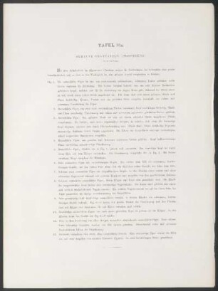 Tafel 33a. - Bemalte Grabtafeln. - (Fortsetzung.)