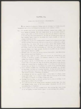 Tafel 33a. - Bemalte Grabtafeln. - (Fortsetzung.)