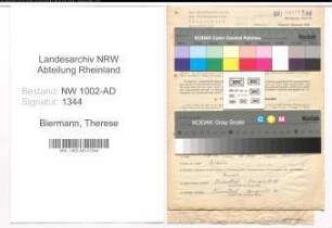 Entnazifizierung Therese Biermann, geb. 09.06.1887 (Masseuse)