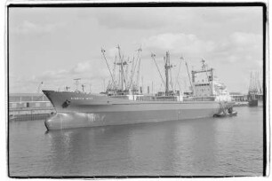Hinrich Witt (1969), H. Witt, Hamburg