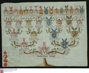 Ahnenprobe des Clemens August v. Haren. - ausgefertigt 1776 September 25, Pergament