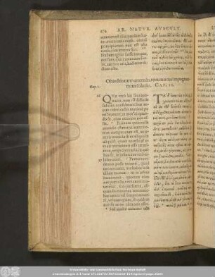 Obiectionum aeternitatem motus impugnantium solutio. Cap. II.