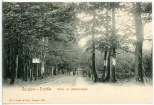 Gotzlow-Stettin. im Böhmerwald