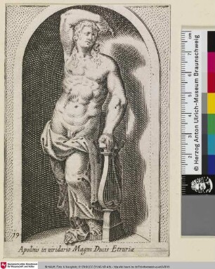 Apolinis in uiridario Magni Ducis Etruriæ
