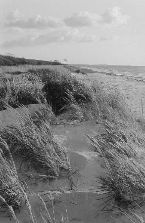 Weststrand Prerow