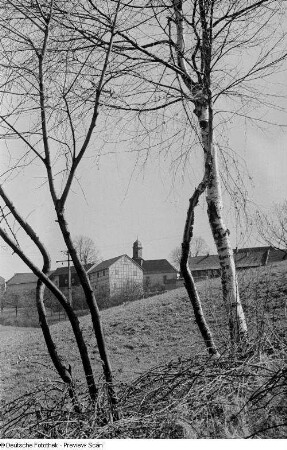 Blick auf ein Dorf mit Kirche, im Vordergrund fünf Bäume (vermutlich Thüringen)