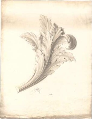 Hoefl, Hans Hugo; Studentenarbeiten - Blattornament (Ansicht)