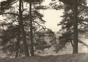 Lausitzer Bergland. Schleifberg vom westlichen Kreckwitzer Hügel (Durchblick)