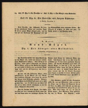 V. Tafel. Raub-Voegel.