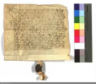 Ludwig u. Ebert v. Hohenfels verkaufen dem Peter v. St. Nabor, Krämer u. Bürger zu Marburg eine Wiese zu Klein-Selheim für 46 rhein. Gulden.