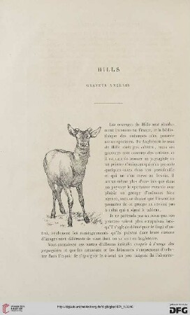 2. Pér. 9.1874: Hills : graveur anglais