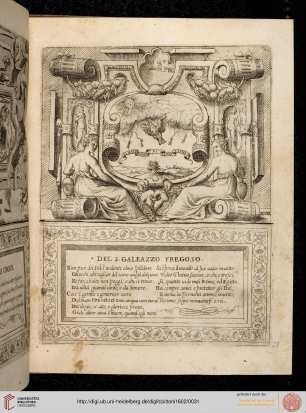Nr. 28: Signor Galeazzo Fregoso