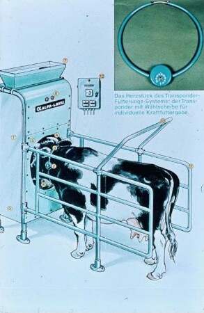 Schemazeichnung: Fütterungstechnik, Milchviehhaltung, Kraftfutterautomat, Abrufstation, Halsbandtransponder