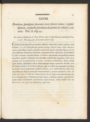XXVIII. Plumbum spatosum saturato cerae flavae colore, crystallisatum, ... Tab. X. Fig. 24