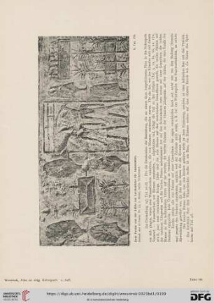 (Nr. 181 - 190)