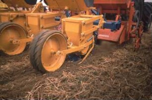 Fotografie: Säverfahren, Einzelkornsaat, Mais, Mulchsaat, Zwischenfrucht