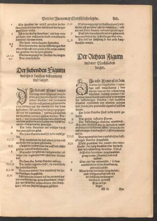 Der Achten Figurn und irer Buchstaben zaiger.