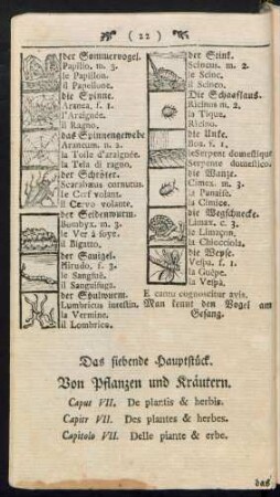 Von Pflanzen und Kräutern