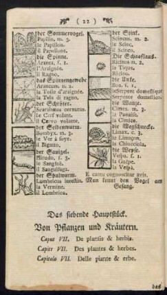 Von Pflanzen und Kräutern