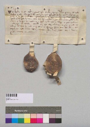 Bischof Bernhard von Passau gewährt dem Kloster Seeon mit Zustimmung des Domkapitels Zollfreiheit in den passauischen Zollstationen Passau und Obernberg für jährliche zwölf Fuder Wein, sechs Metzen Getreide und für Tuch zur Herstellung der Mönchskutten. S1: Bischof Bernhard v. Passau, S2: Domkapitel Passau