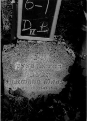 Grabstein D II B/6/1 (Detailaufnahme 2)