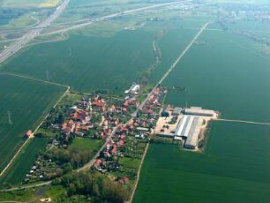 Thörey : Erfurter Kreuz