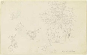 Tiere mit Ranken; eine Fledermaus; ein kleiner und ein größerer Landschaftsausschnitt mit zwei Vögeln an einem Baum