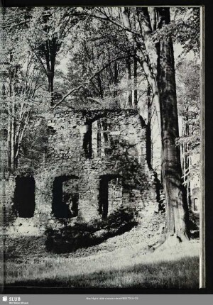 3 Klosterruine Altzella (Ruine seit 1599)