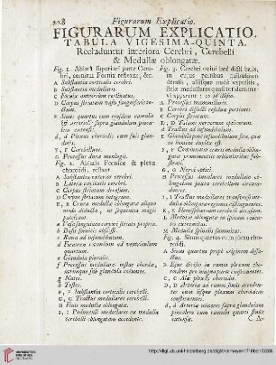Figurarum explicatio: Tabula vigesima-quinta