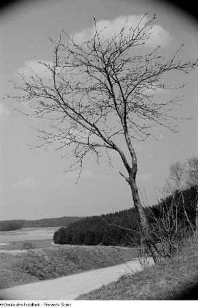 Blick in eine Feld- und Waldlandschaft