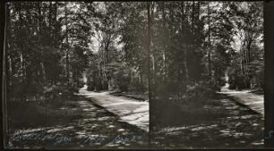 Paris. Bois de Boulogne