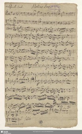 Violino Imo.