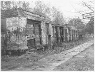 Verfallenes Gebäude (Sonderthema: Umweltschutz - Umweltzerstörung)
