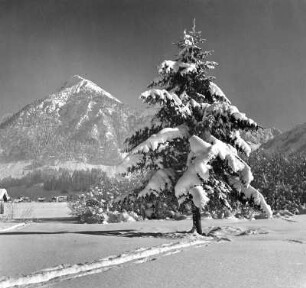 Allgäer Alpen, Schattenberg bei Oberstdorf